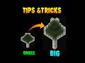 Minecraft tips and tricks #minecraft #game #gaming #technogamerz #india #facts
