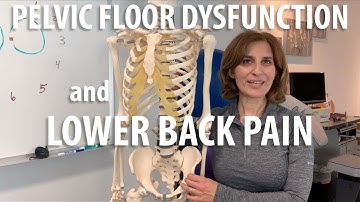 How lower back pain and pelvic floor dysfunction are related explained by Irvine doctor