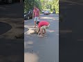 Man rescues stranded sloth with help from another