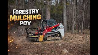 Starting a Forestry Mulching Job - Satisfying- GoPro POV