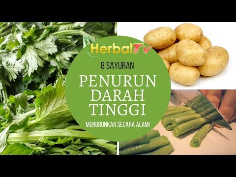 Video Makanan Yang Baik Bagi Penderita Darah Tinggi