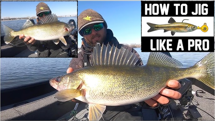 How to Fish a Jig and Minnow for Spring Walleyes 