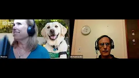 Understanding the ADA