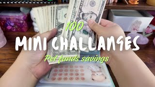 100 MINI CHALLENGES 💵 | PET FUND SAVINGS | how many can we complete #savingschallenges 