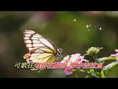 恨綿綿   陳佳〈演唱版〉