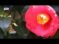 花つむぎ(歌用カラオケです)