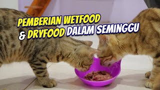 PEMBERIAN WETFOOD & DRYFOOD DALAM SEMINGGU