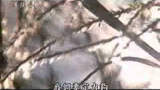 20100911-2《菩提心要》大乘心行無量義.mp4