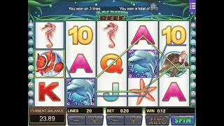 Dolphin Reef | Big Win On 20cent Bet screenshot 4