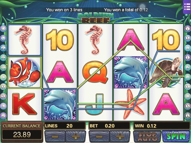 Dolphin Reef | Big Win On 20cent Bet class=