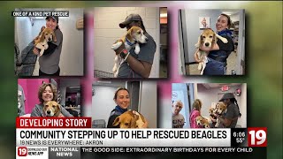 Beagles rescued from Wisconsin research facility arrive in Akron Net Worth