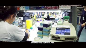 IBiS Bioinformatics and Computational Biology Unit