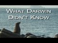 Where Does the Evidence Lead? - What Darwin Didn&#39;t Know