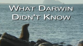 Where Does the Evidence Lead? - What Darwin Didn&#39;t Know