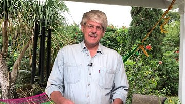 Edge of Extinction: The Aerosol Masking Effect, As Expected