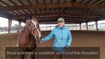 Exercises using a Bosal to gain control of the head and sholders - flexing and the rollback