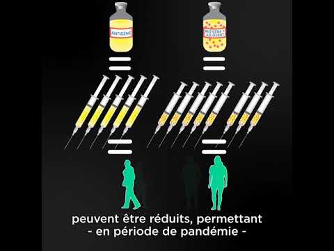 Vidéo: Comment fonctionnent les adjuvants dans les vaccins ?