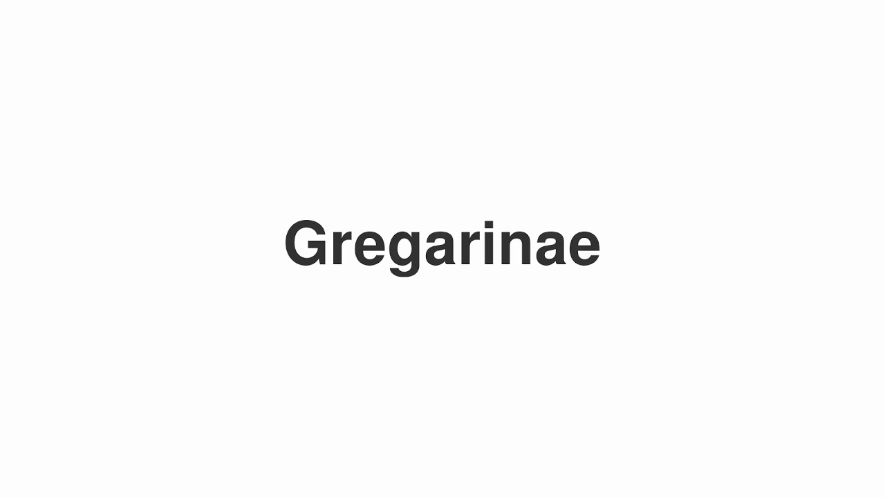 How to Pronounce "Gregarinae"