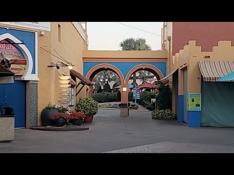 LIVE Busch Gardens Tampa Roller Coaster Insider Tour! Part 1 - YouTube