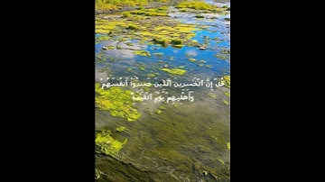 القارئ سعد الغامدي سورة الزمر ❤️ #قرآن #اكسبلور #راحة_نفسية #اجر_لي_ولك #ارح_قلبك #صلوا_على_النبي