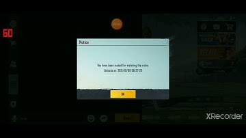 How to Get muted in Pubg Mobile