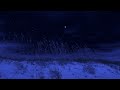 Crickets at the beach  binaural nighttime ambience  nature sounds