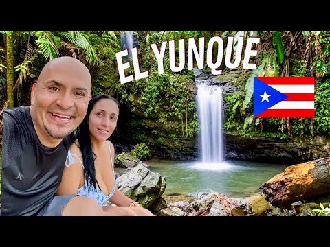 Video: Una guía para visitar el Bosque Nacional El Yunque