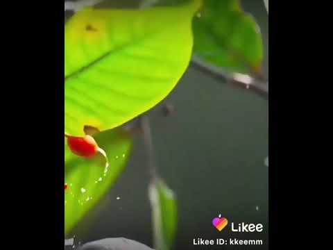 ١٤ يناير ٢٠٢١