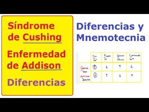 Vídeo: Diferencia Entre La Enfermedad De Addison Y El Síndrome De Cushing