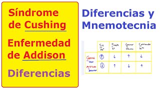 Síndrome de Cushing y Enfermedad de Addison: memoriza las diferencias