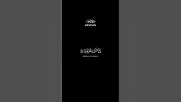 يا عباد لا خوف عليكم اليوم شاشة سوداء | كرومات قرآن كريم بصوت #ياسر_الدوسري | #سورة_الزخرف