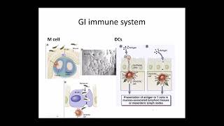 Famous Abbas Ch 14 - Specialized Immunity at Epithelial Barriers and in Immune Privileged Tissues (Raje) Net Worth