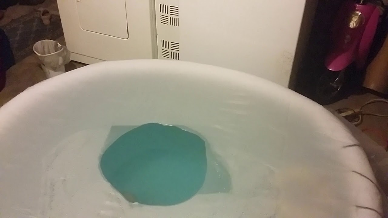 Marowana in the pond