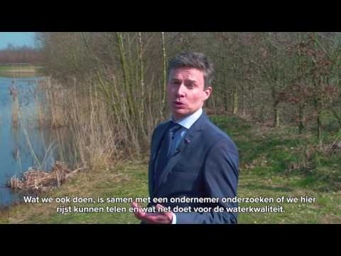 Expeditie rijstvelden Albano