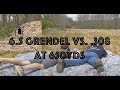 6.5 Grendel AR15 vs. 308 Savage 10BA Stealth at 650 Yards