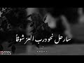 سأرحل للعلا لا للدنية سارحل للمعالي يا أخيا