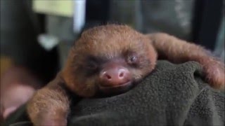 AHHH!