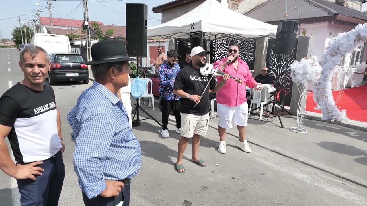 logodna alin si contesa