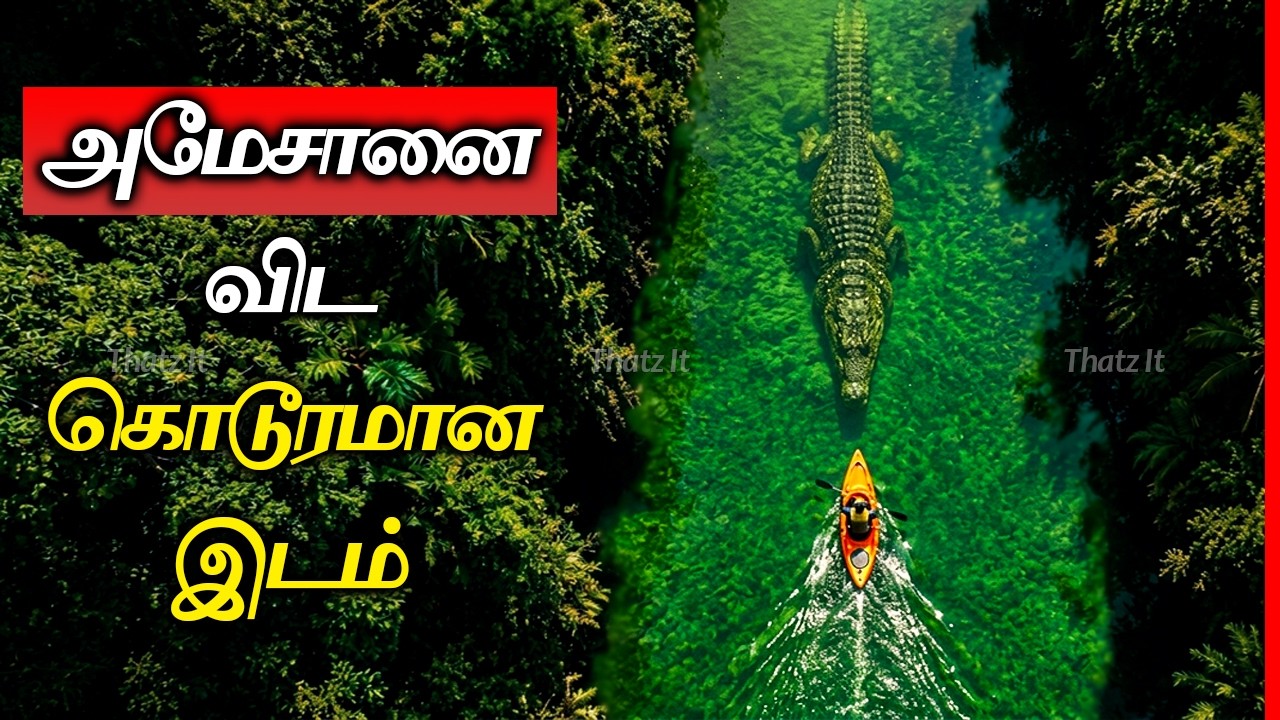 Latest Title & Thumbnail