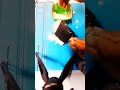 feviquick glue tricks//#shorts//#ledlights