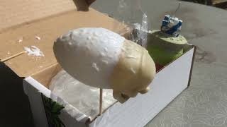 Bot Anfang 2  #BigBotBash