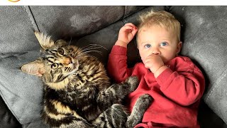 Adorable Baby Boy And Cat React To Helium Balloon For First Time!! (Cutest Ever!!)