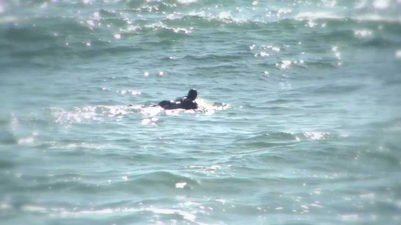 EDM Trance (featuring Mandy Edge): "Mermaiden Song" by W.J. McKay