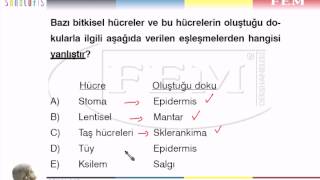 Bitkisel Dokular Ve Organlar Uyg - 1 - U2 - 30510