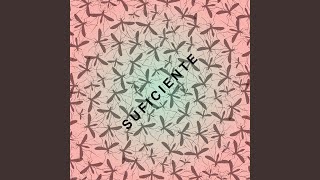 Suficiente - Babasónicos
