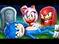 ¿Quién Asesinó a Sonic? ¡Amy Rose, Knuckles y el Doctor Eggman! Juego Gigante De Pistas