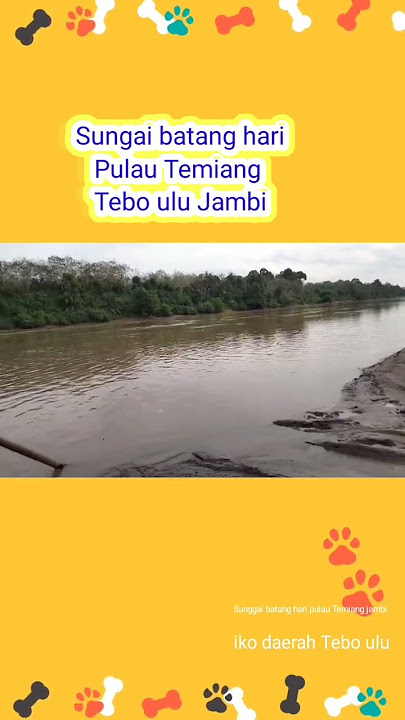 Sungai Batang hari Pulau Temiang Tebo ulu Jambi ko