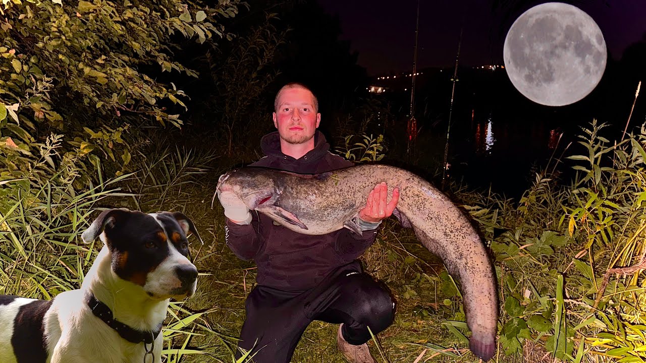 Повний місяць — чи клює СОМ? Вивіз живця на 300 м | Нічна рибалка з Баді