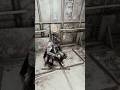 Arbites reliefs himself of his duty #warhammer40k #darktide #warhammer #goon #gaming