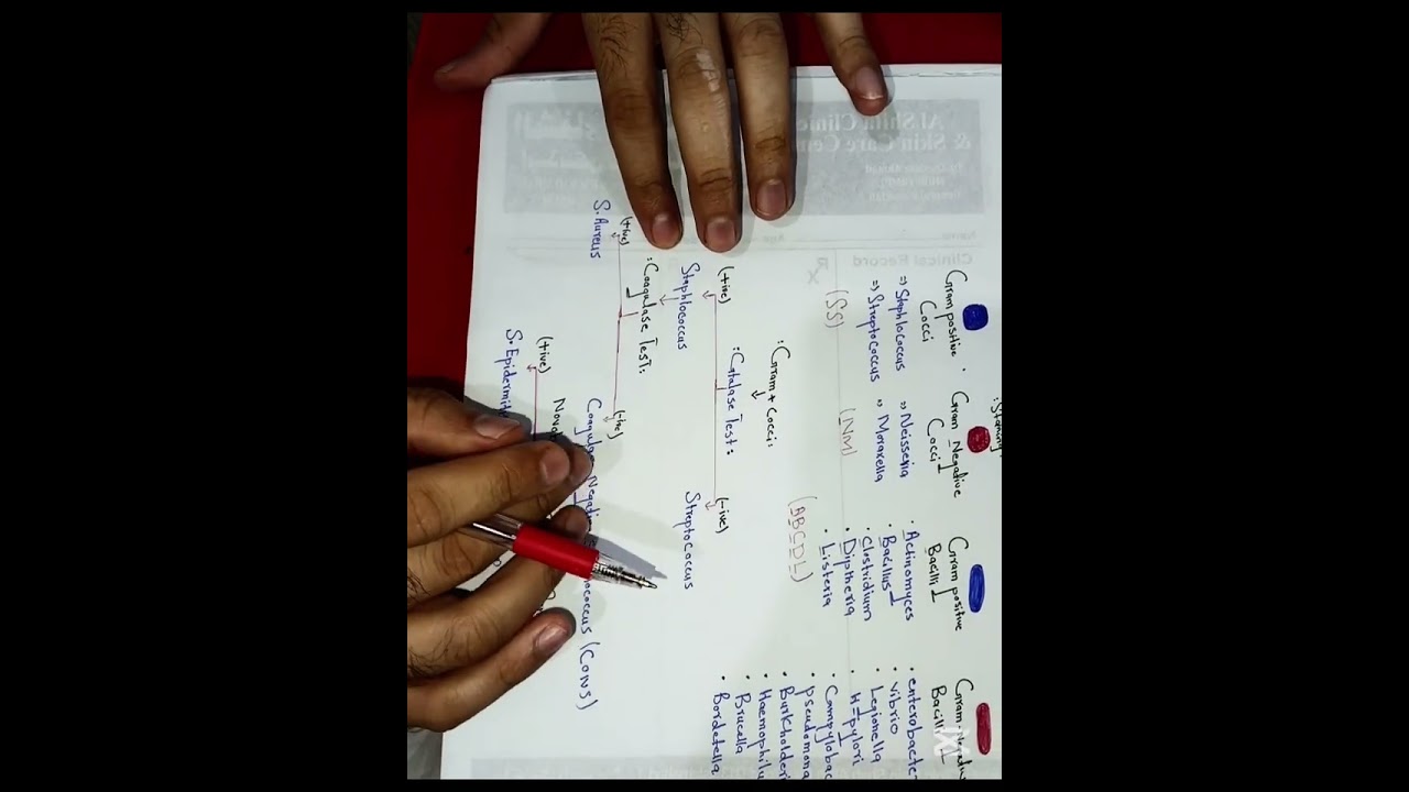 How to Remember Bacteria Classification Easily | MLT Exam Preparation